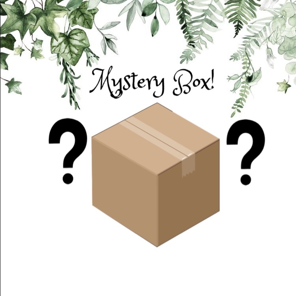 Women’s Business Casual MysteryBox